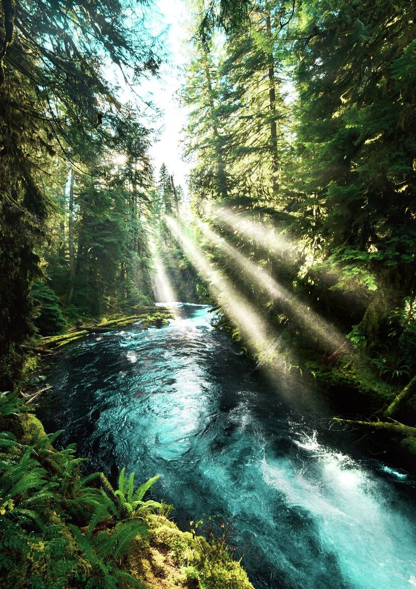 Ultra light beams