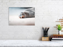 Load image into Gallery viewer, 9236609-3616361
