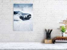 Load image into Gallery viewer, 9238031-3616412
