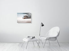 Load image into Gallery viewer, 9236609-3616362
