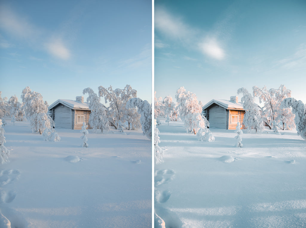 Snow Collection