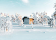 Load image into Gallery viewer, Winter Wonderland
