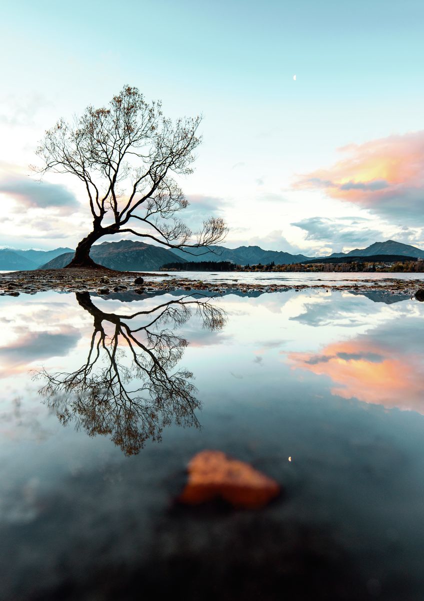 Wanaka reflection